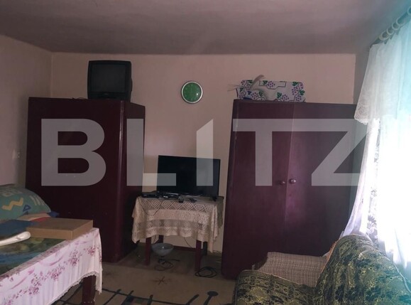 Casa de vânzare 2 camere Pomi - 180474CV | BLITZ Satu Mare | Poza11