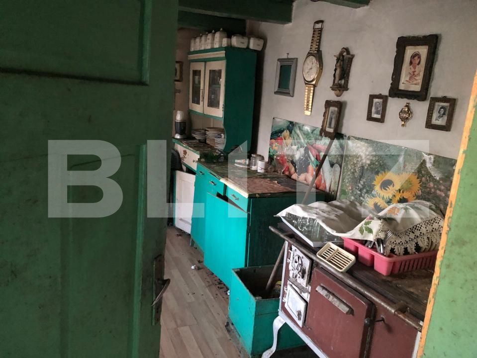 Casa de vânzare 2 camere Exterior Sud - 180474CV | BLITZ Satu Mare | Poza15