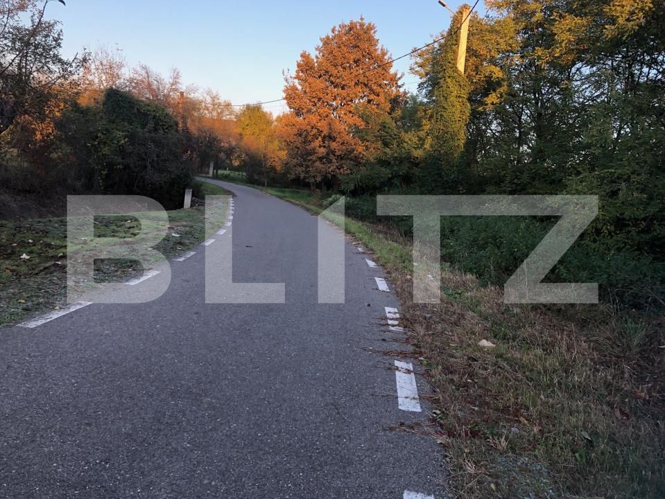 Casa de vânzare 2 camere Exterior Sud - 180474CV | BLITZ Satu Mare | Poza2