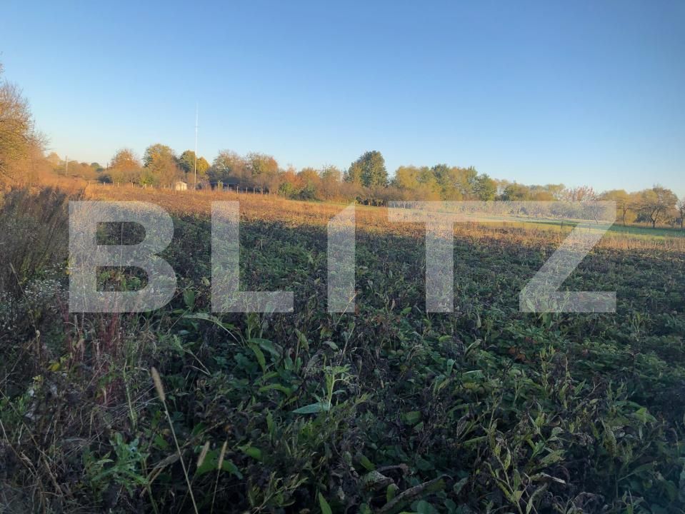 Casa de vânzare 2 camere Exterior Sud - 180474CV | BLITZ Satu Mare | Poza1