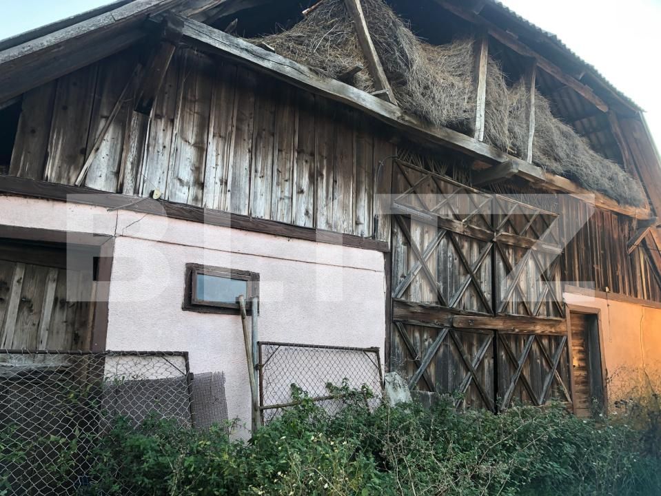 Casa de vânzare 2 camere Exterior Sud - 180474CV | BLITZ Satu Mare | Poza13