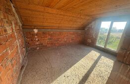 Casa cu 4 dormitoare de vanzare , 180mp, teren 1000 mp, Decebal (comuna Vetis)