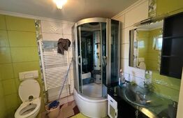 Apartament 3 camere, 223.40 mp, zona Titulescu