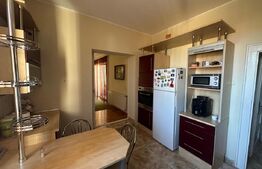 Apartament 3 camere, 223.40 mp, zona Titulescu