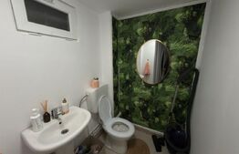 Spațiu comercial, 190 mp utili, zona Central 