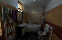 Casă spațioasă cu 2 corpuri , 300 mp– ideală pentru 2 familii – teren 776 mp