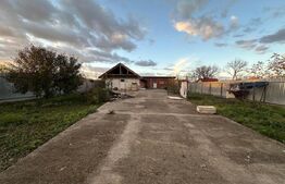 Casa de vanzare cu teren 15 ari - Zona Vetis