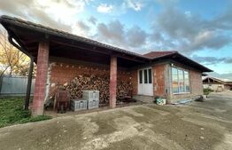 Casa de vanzare cu teren 15 ari - Zona Vetis