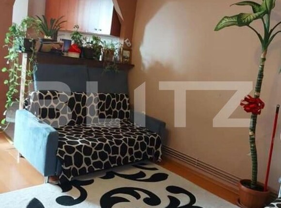 Garsonieră de vânzare Burdea - 180923AV | BLITZ Satu Mare | Poza1