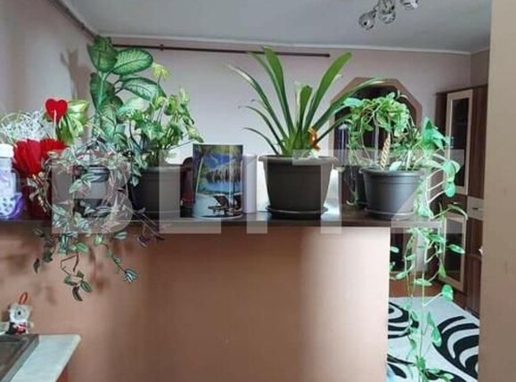 Garsonieră de vânzare Burdea - 180923AV | BLITZ Satu Mare | Poza2