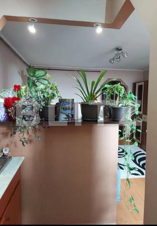 Garsonieră de vânzare Burdea - 180923AV | BLITZ Satu Mare | Poza2