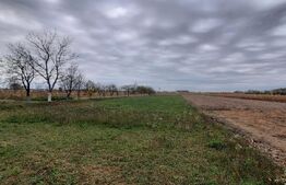 Casa de vanzare, 210 mp, Comuna Micula 