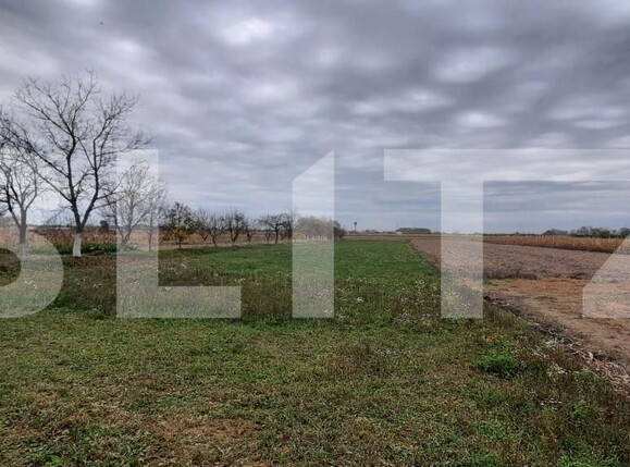 Casa de vânzare 7 camere Exterior Nord - 181072CV | BLITZ Satu Mare | Poza11