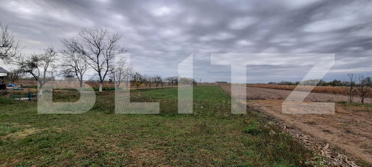 Casa de vânzare 7 camere Exterior Nord - 181072CV | BLITZ Satu Mare | Poza11