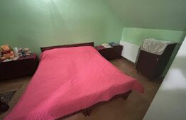 Casă de vânzare in Cionchesti , comuna Viile Satu Mare