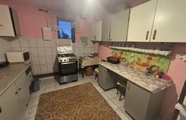 Casă de vânzare in Cionchesti , comuna Viile Satu Mare