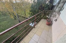 Casă de vânzare in Cionchesti , comuna Viile Satu Mare