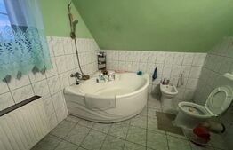 Casă de vânzare in Cionchesti , comuna Viile Satu Mare