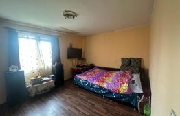 Casă cu 4 camere de vanzare | Zona Ardud |