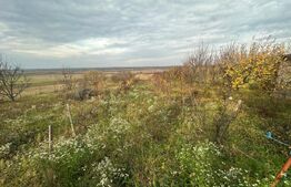 Casă cu 4 camere de vanzare | Zona Ardud |