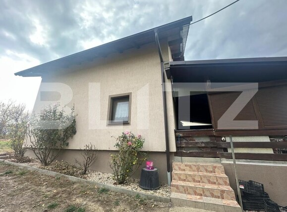 Casa de vânzare 4 camere Ardud - 181248CV | BLITZ Satu Mare | Poza17