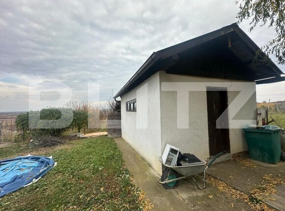 Casa de vânzare 4 camere Ardud - 181248CV | BLITZ Satu Mare | Poza16