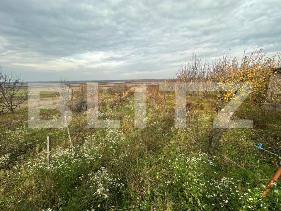 Casa de vânzare 4 camere Ardud - 181248CV | BLITZ Satu Mare | Poza19