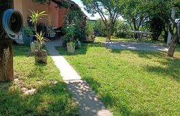 Teren 10 arii extravilan – zona Careiului