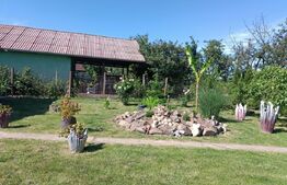 Teren 10 arii extravilan – zona Careiului