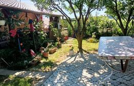 Teren 10 arii extravilan – zona Careiului