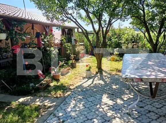 Teren de vânzare Careiului - 181343TV | BLITZ Satu Mare | Poza2