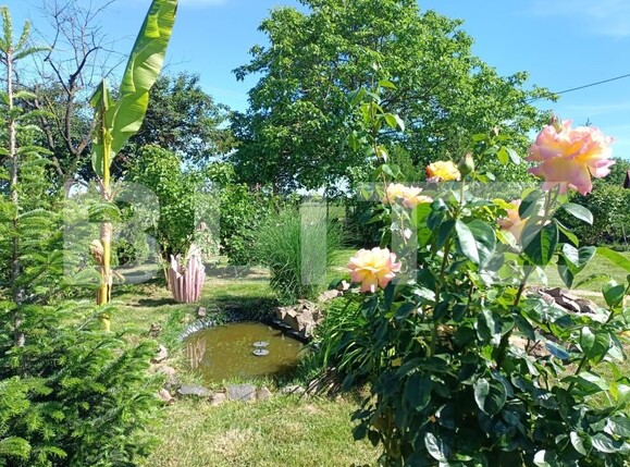 Teren de vânzare Careiului - 181343TV | BLITZ Satu Mare | Poza4