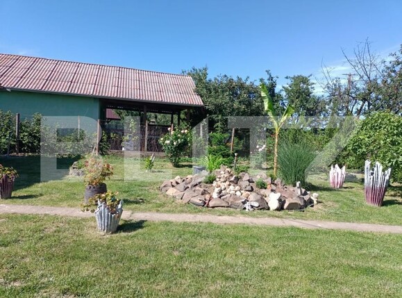 Teren de vânzare Careiului - 181343TV | BLITZ Satu Mare | Poza3