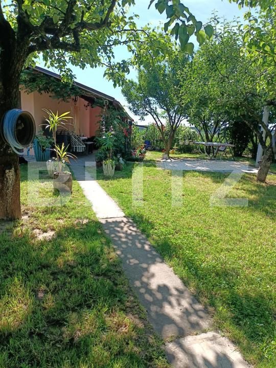 Teren de vânzare Careiului - 181343TV | BLITZ Satu Mare | Poza1