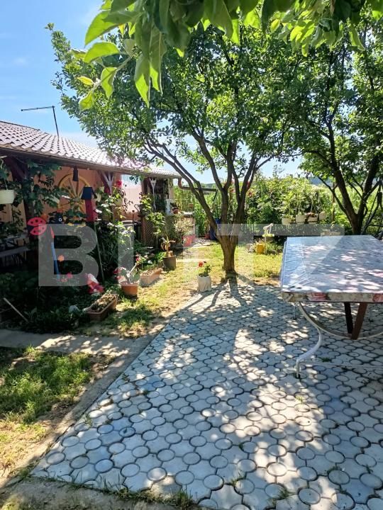 Teren de vânzare Careiului - 181343TV | BLITZ Satu Mare | Poza2