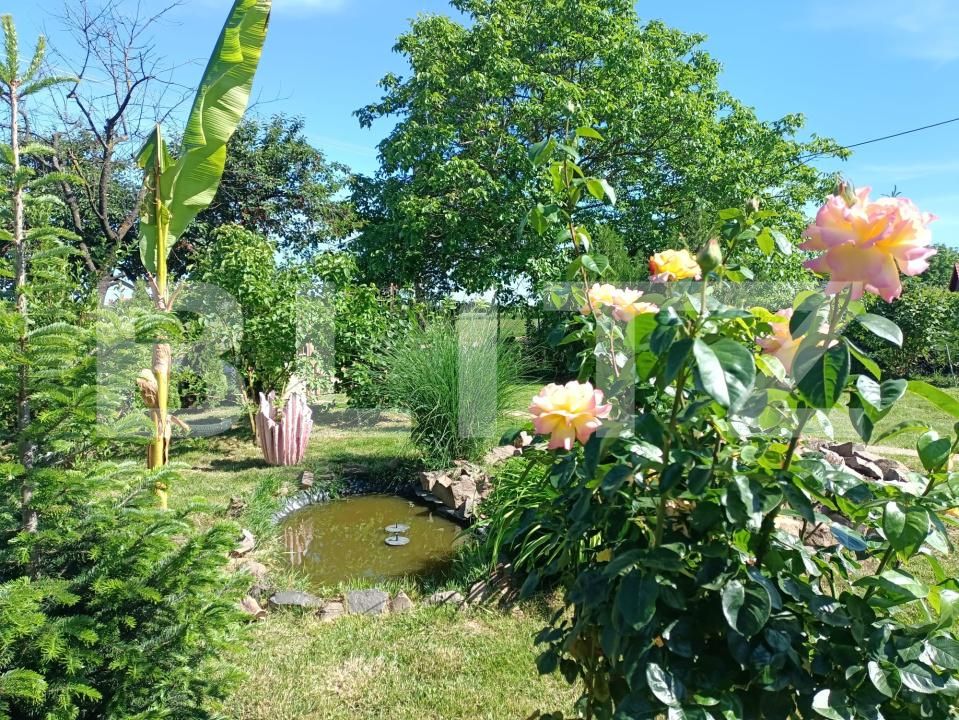 Teren de vânzare Careiului - 181343TV | BLITZ Satu Mare | Poza4