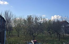 Casa 2 camere, 95 mp . Teren 4446 mp - Amati