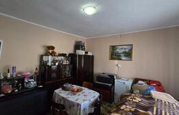 Casa 2 camere, 95 mp . Teren 4446 mp - Amati