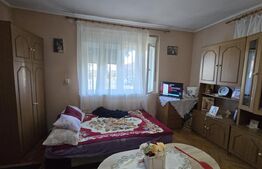 Casa 2 camere, 95 mp . Teren 4446 mp - Amati