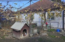 Casa 2 camere, 95 mp . Teren 4446 mp - Amati