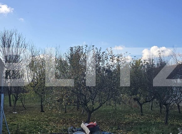 Casa de vânzare 2 camere Amati - 181366CV | BLITZ Satu Mare | Poza13