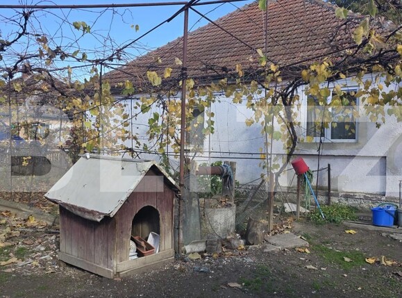 Casa de vânzare 2 camere Amati - 181366CV | BLITZ Satu Mare | Poza12