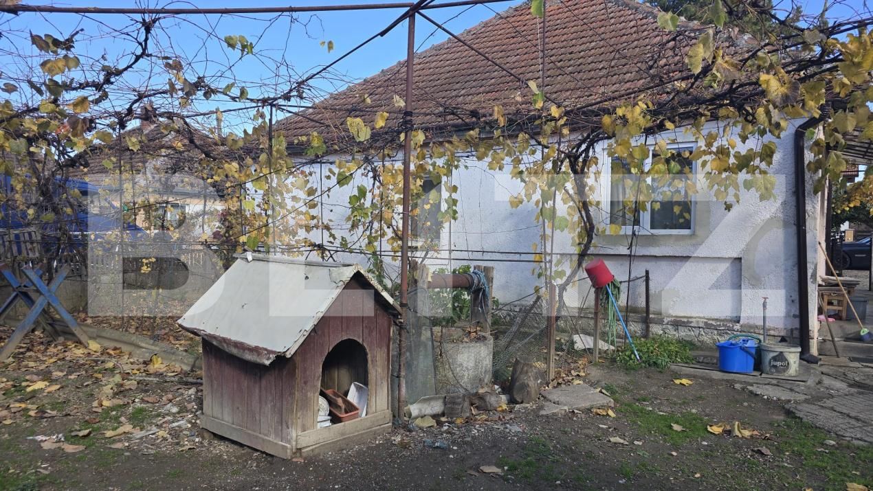 Casa de vânzare 2 camere Amati - 181366CV | BLITZ Satu Mare | Poza12