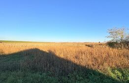 Teren de vânzare Ardud - 165662TV | BLITZ Satu Mare | Poza1