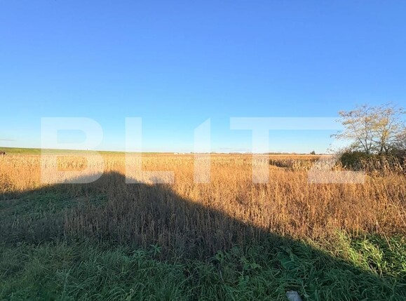 Teren de vânzare Vetiş - 181563TV | BLITZ Satu Mare | Poza1