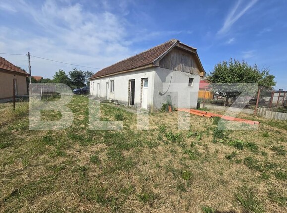 Casa de vânzare 4 camere Lazuri - 181581CV | BLITZ Satu Mare | Poza2