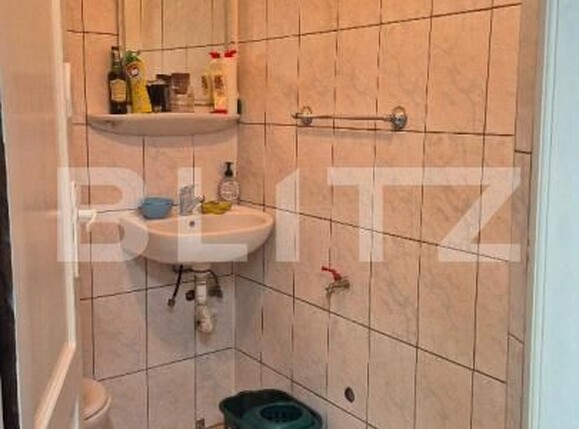 Spațiu comercial de închiriat Aurel Vlaicu - 181658SIC | BLITZ Satu Mare | Poza9