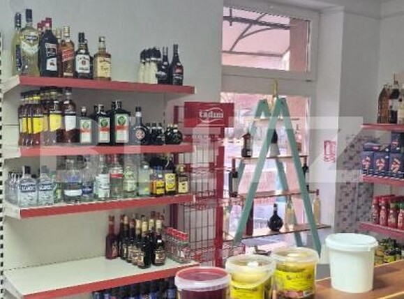 Spațiu comercial de închiriat Aurel Vlaicu - 181658SIC | BLITZ Satu Mare | Poza4