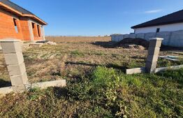 Casa la rosu, 4 camere, 145,31 mp utili, 715 mp teren, zona Martinesti