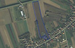 Teren intravilan de vanzare, 27.958 mp, in Vetis